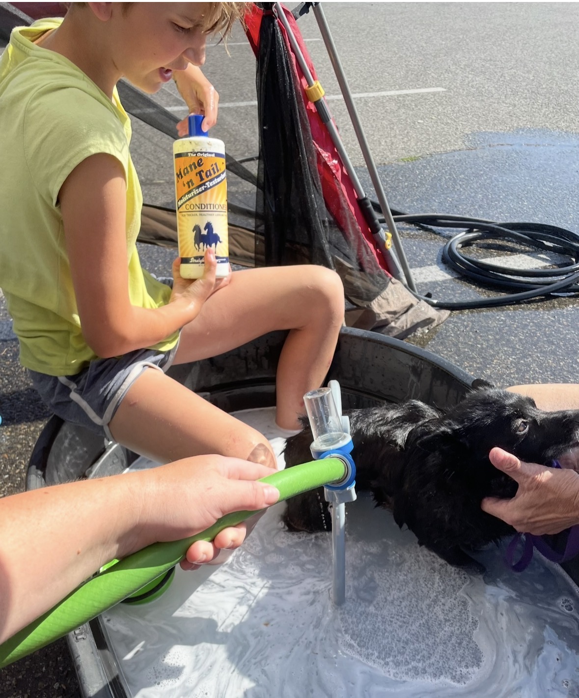 S’more Dogs rescue dog