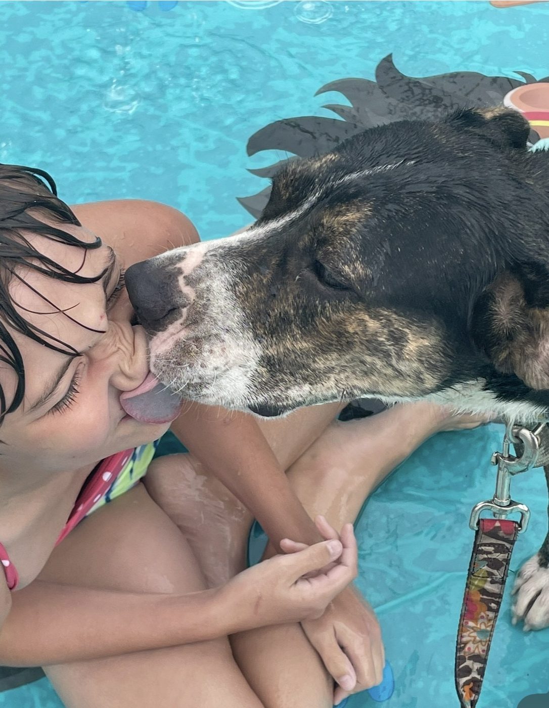 Dog giving kisses at a family car and dog wash