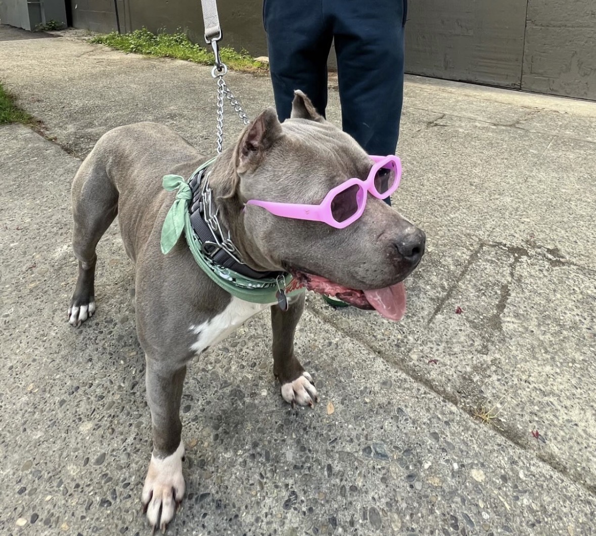 Charlie alumni update