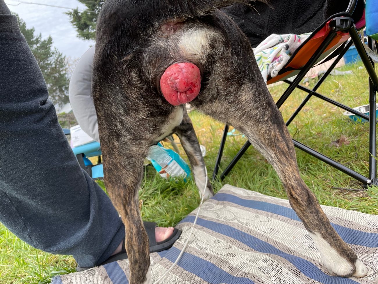 S’more vaginal prolapse later in recovery