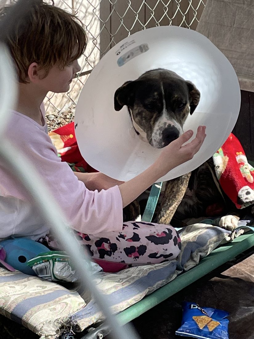 S’more being comforted during medical recovery
