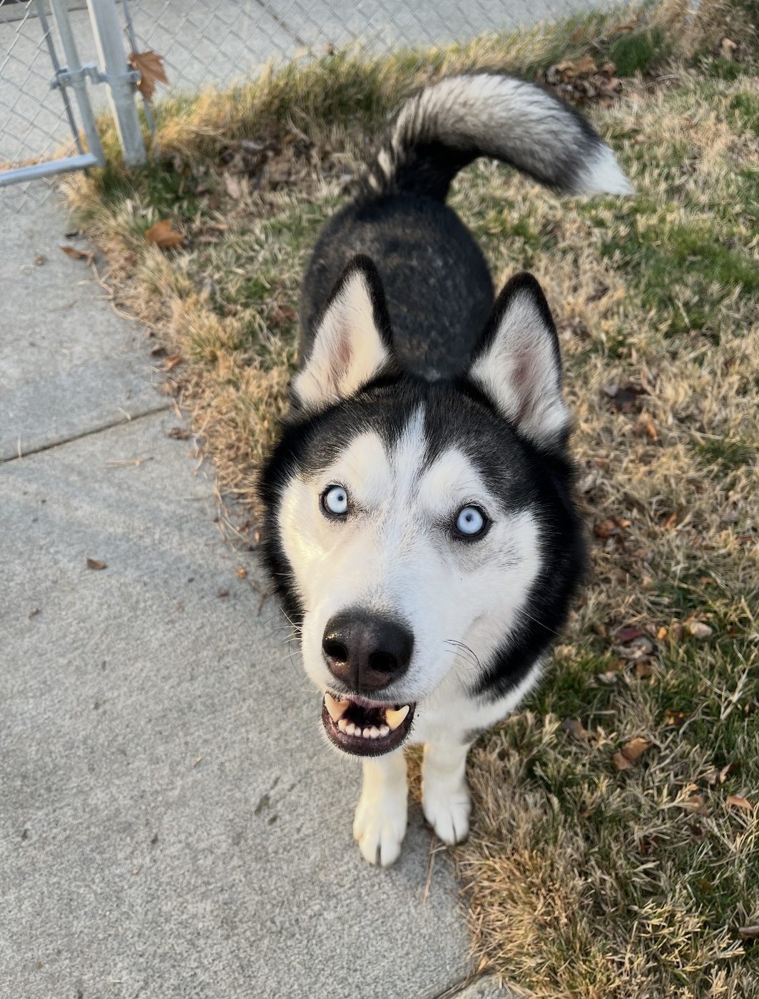 Skylar alumni update